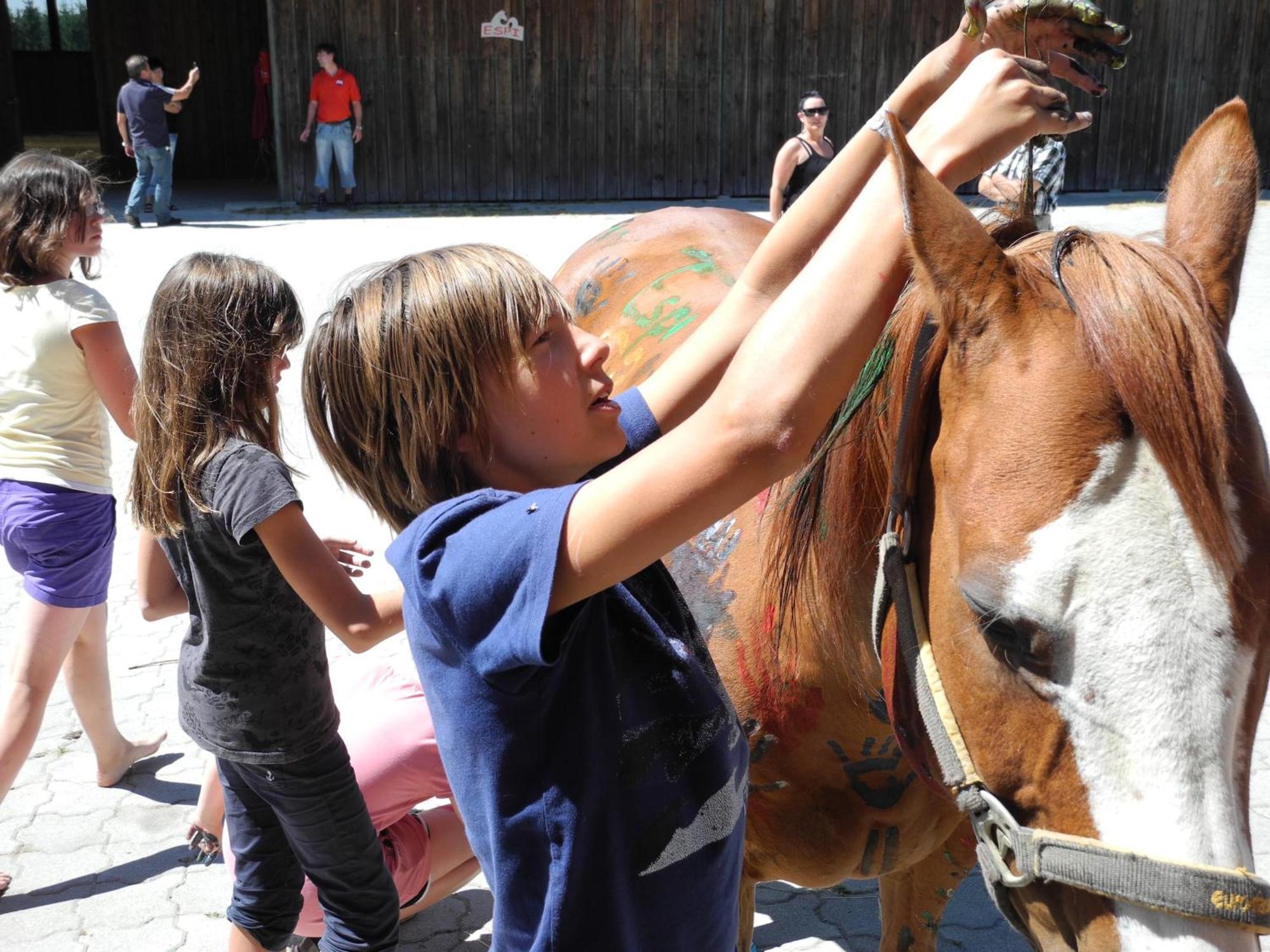 Espi-Stables Ferienhof Esterhammer Liebenau  Luaran gambar