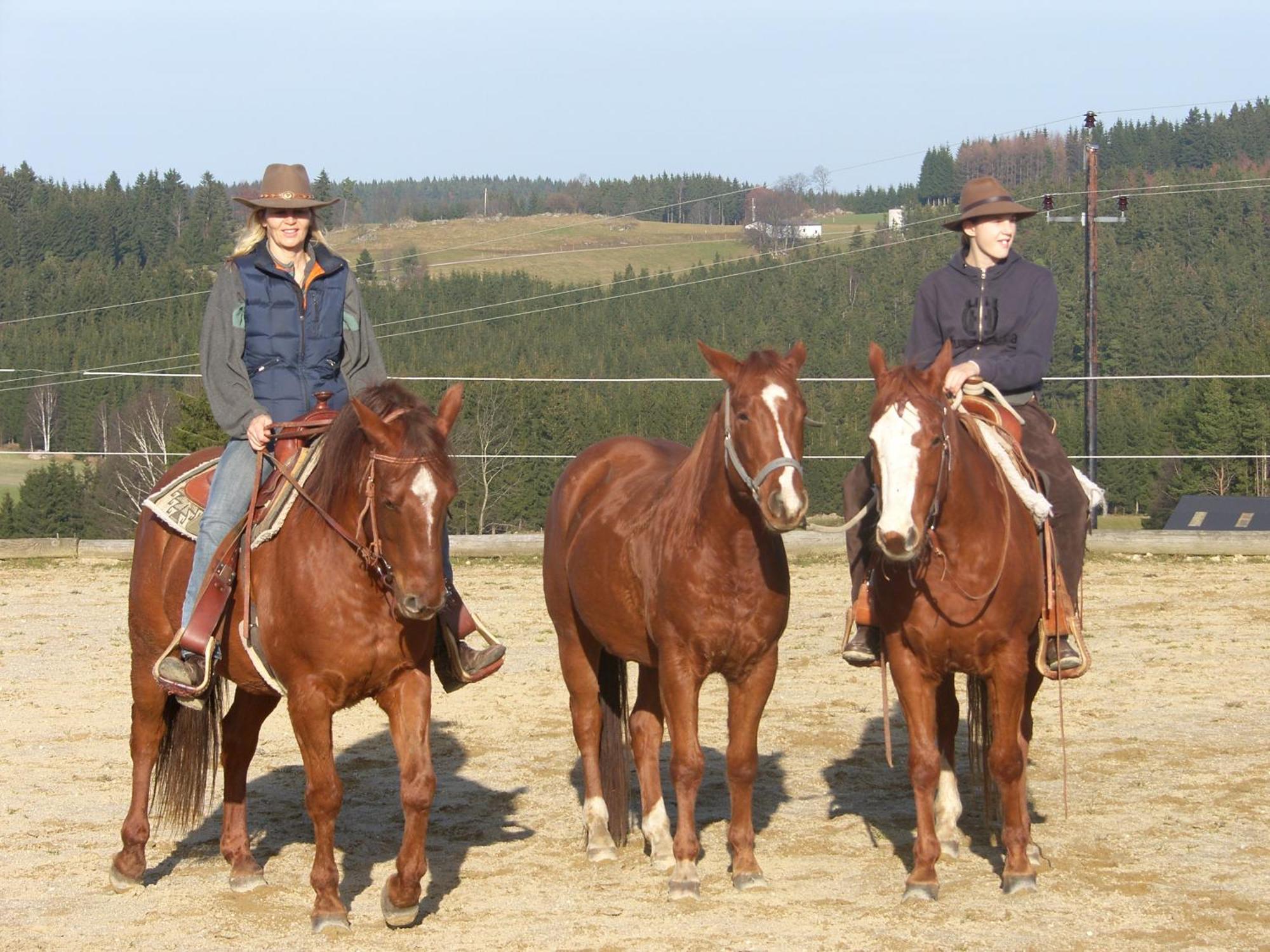 Espi-Stables Ferienhof Esterhammer Liebenau  Luaran gambar