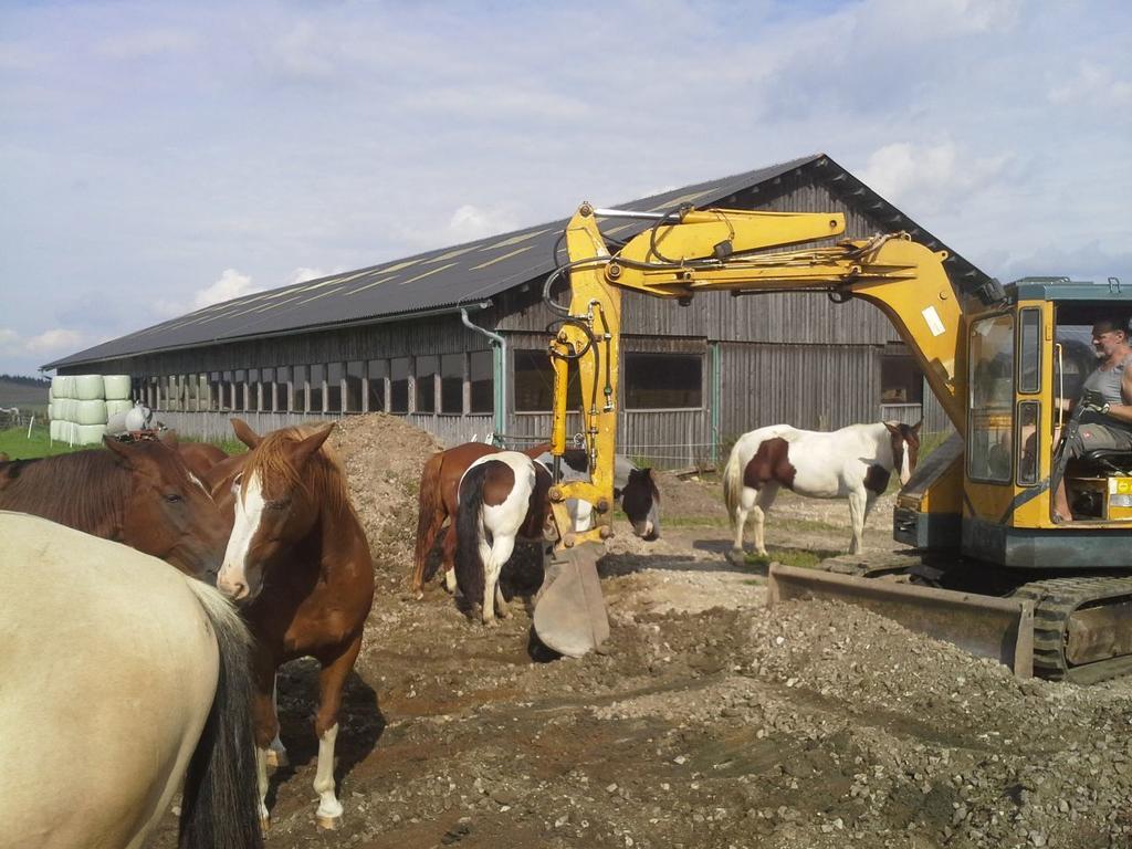Espi-Stables Ferienhof Esterhammer Liebenau  Luaran gambar