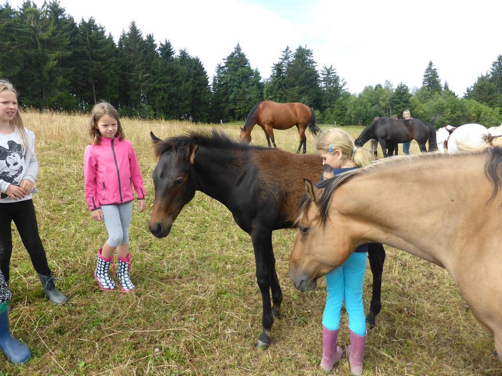 Espi-Stables Ferienhof Esterhammer Liebenau  Bilik gambar