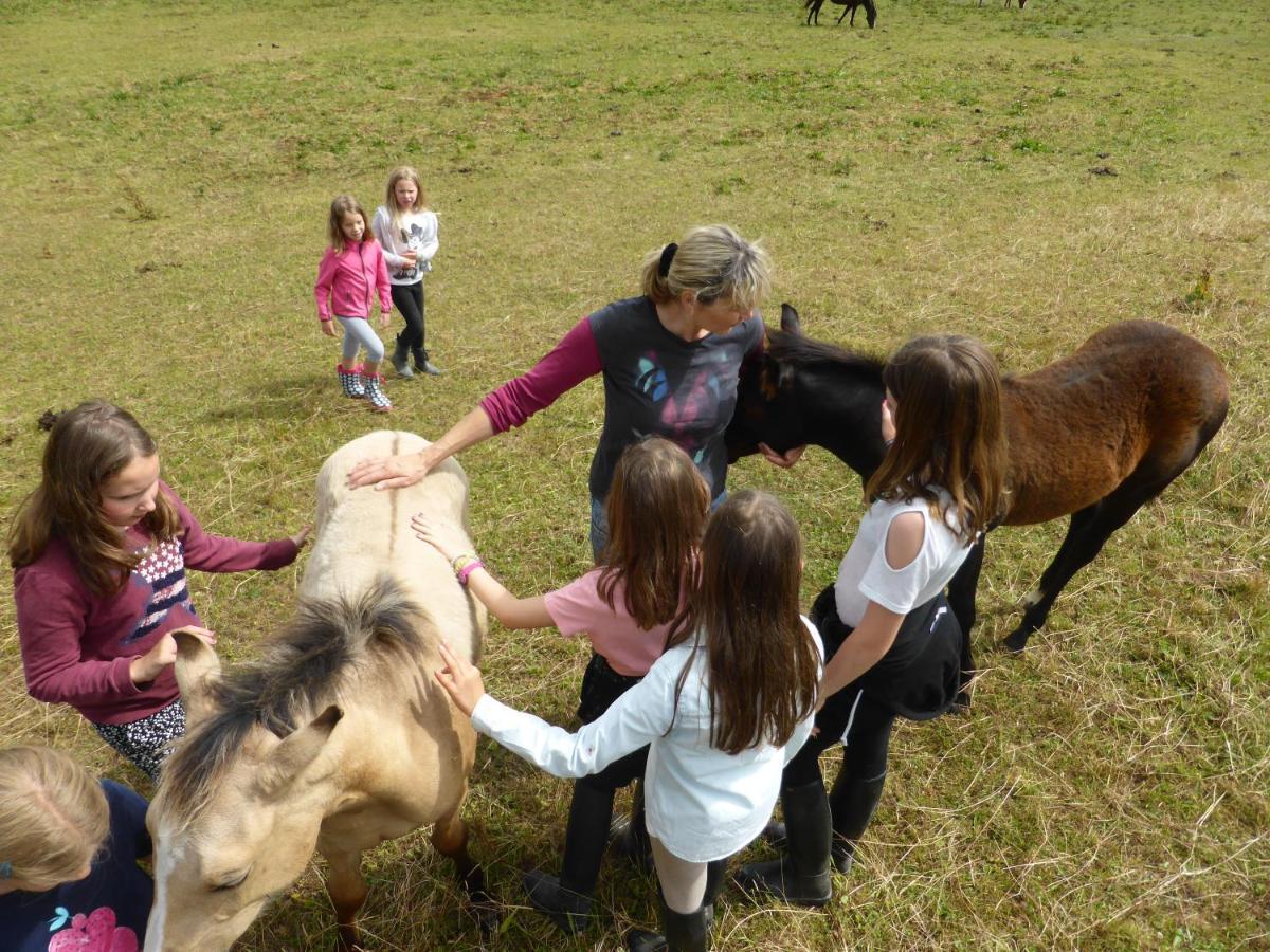 Espi-Stables Ferienhof Esterhammer Liebenau  Luaran gambar